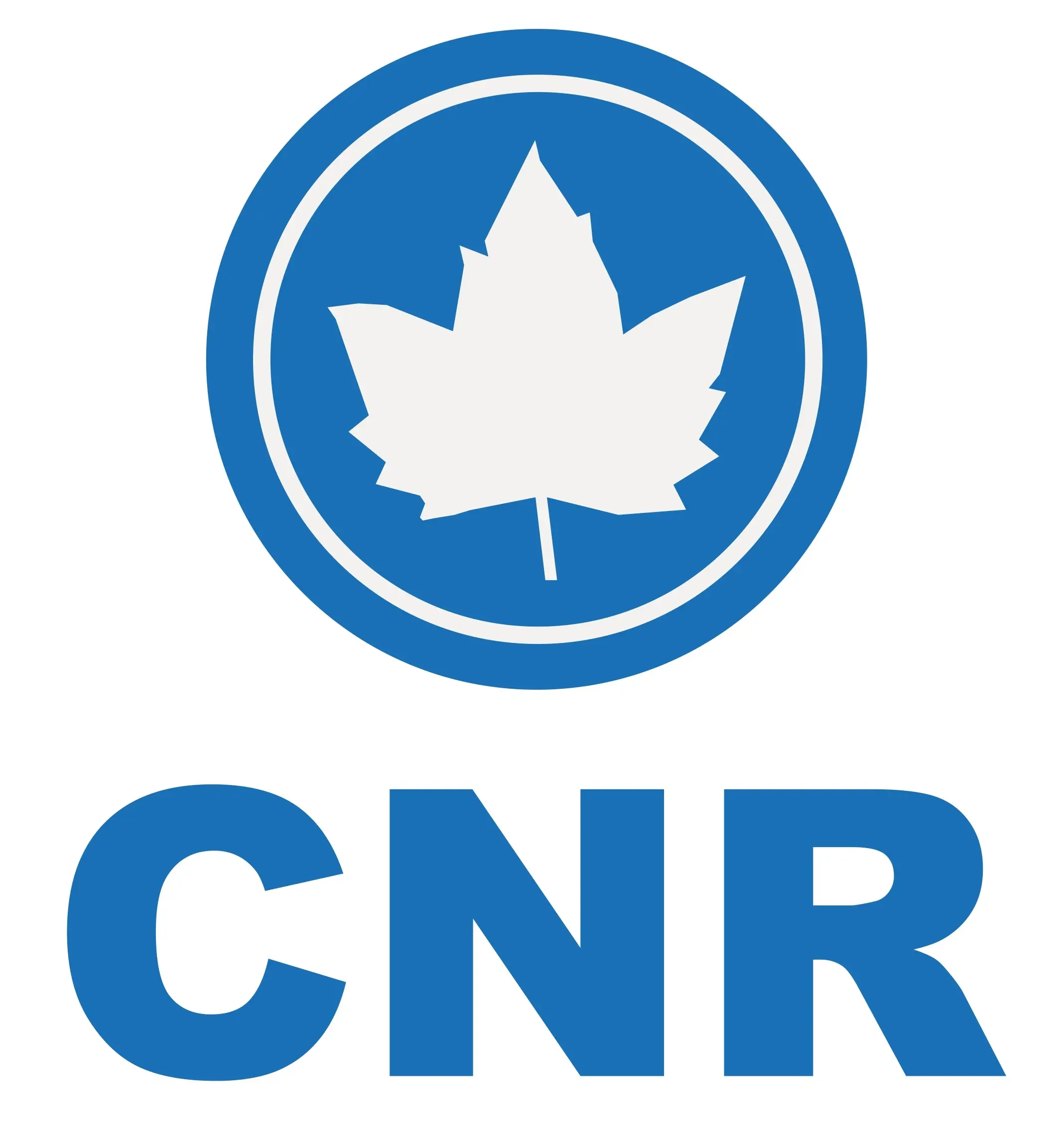CNR Çelik logo