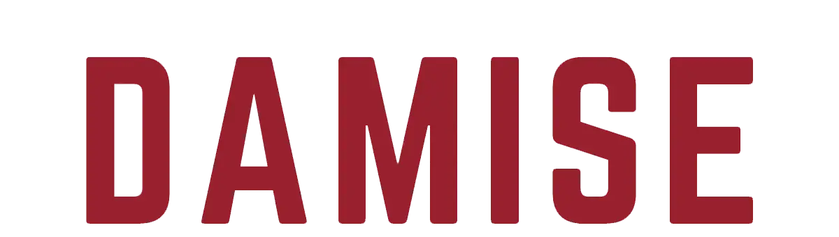 Damise logo