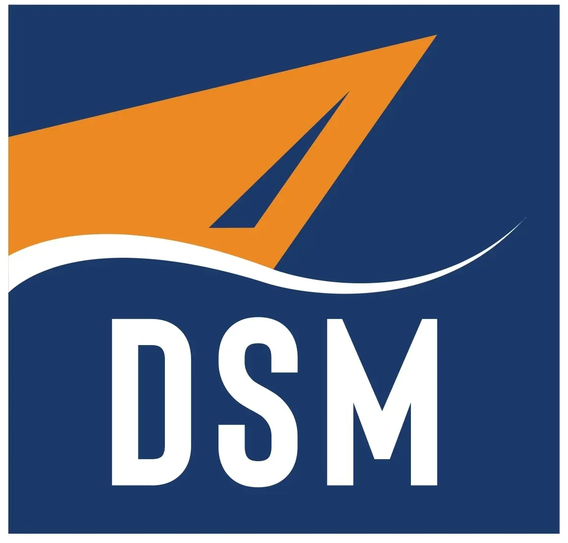 Densay Ship Management logo